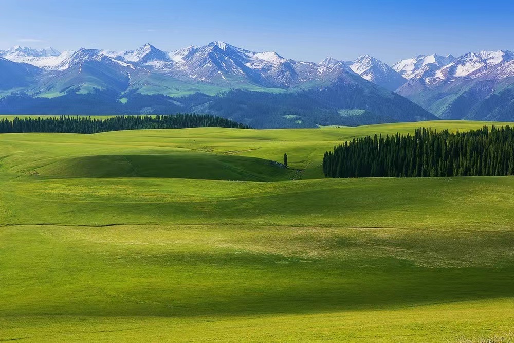 1662442951349107.jpg b8e9d94d5d732cd9a6c0df6062342a7.jpg