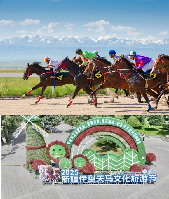 1760424612826370.png 图片 1.png