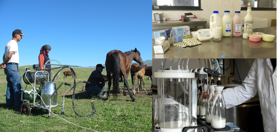 1760424645241974.png 图片 6.png