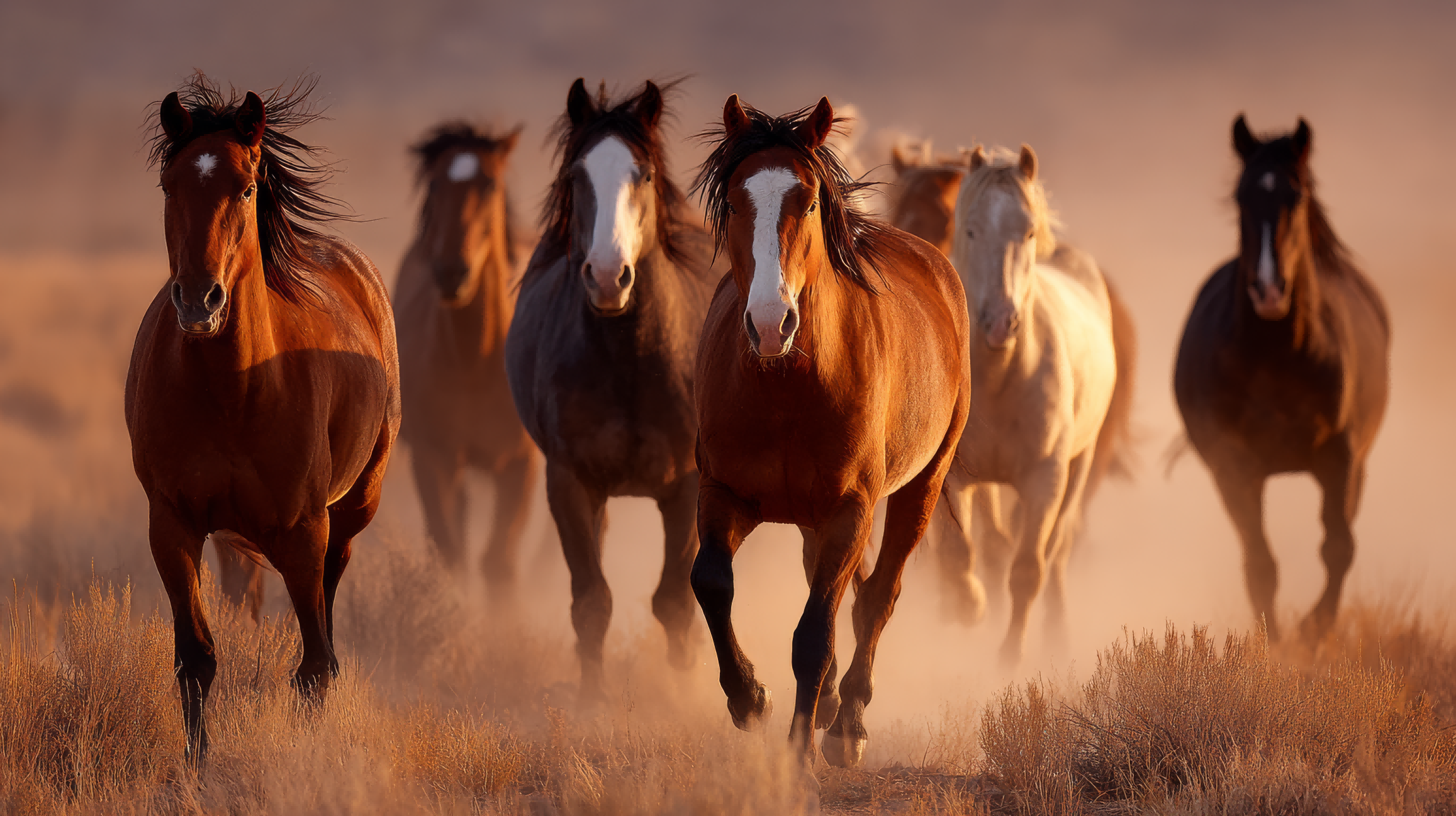 1760424816197696.png 图片 1(1).png