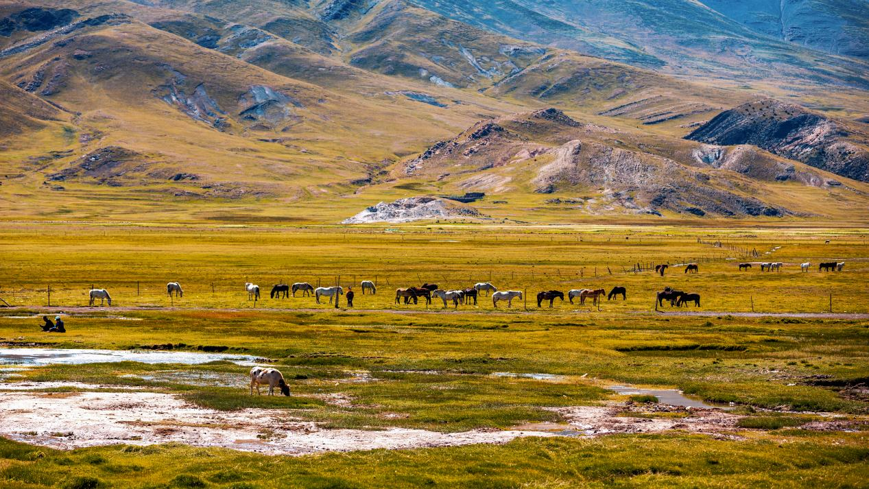 1760424831620241.png 图片 3.png