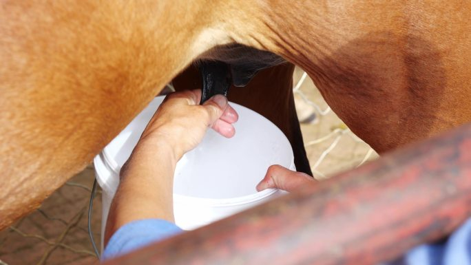 1760424836718970.png 图片 4.png