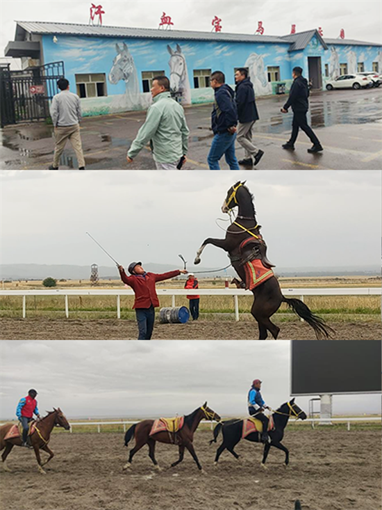 1760424878795374.png 图片 9.png