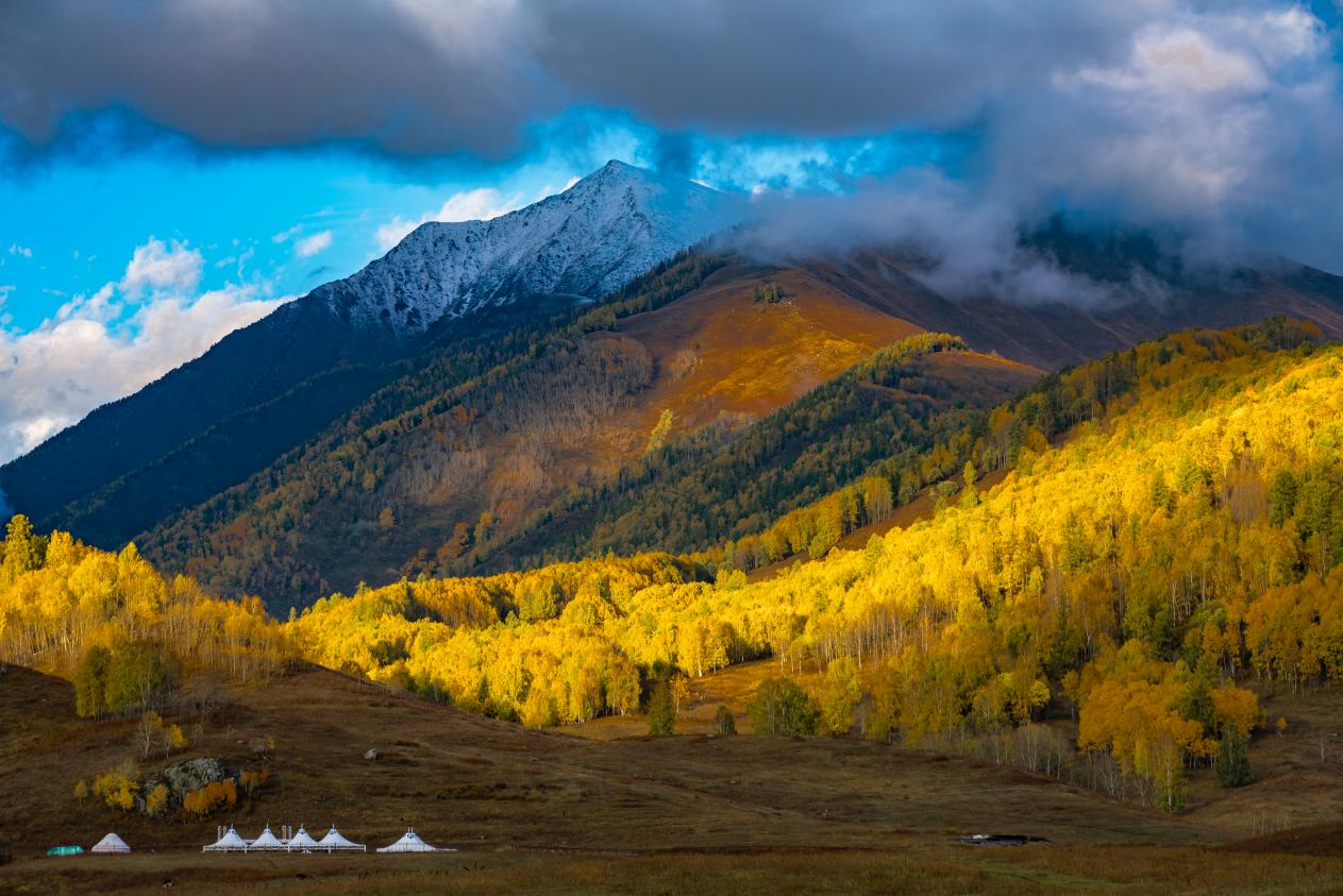 1760424885142793.png 图片 11.png