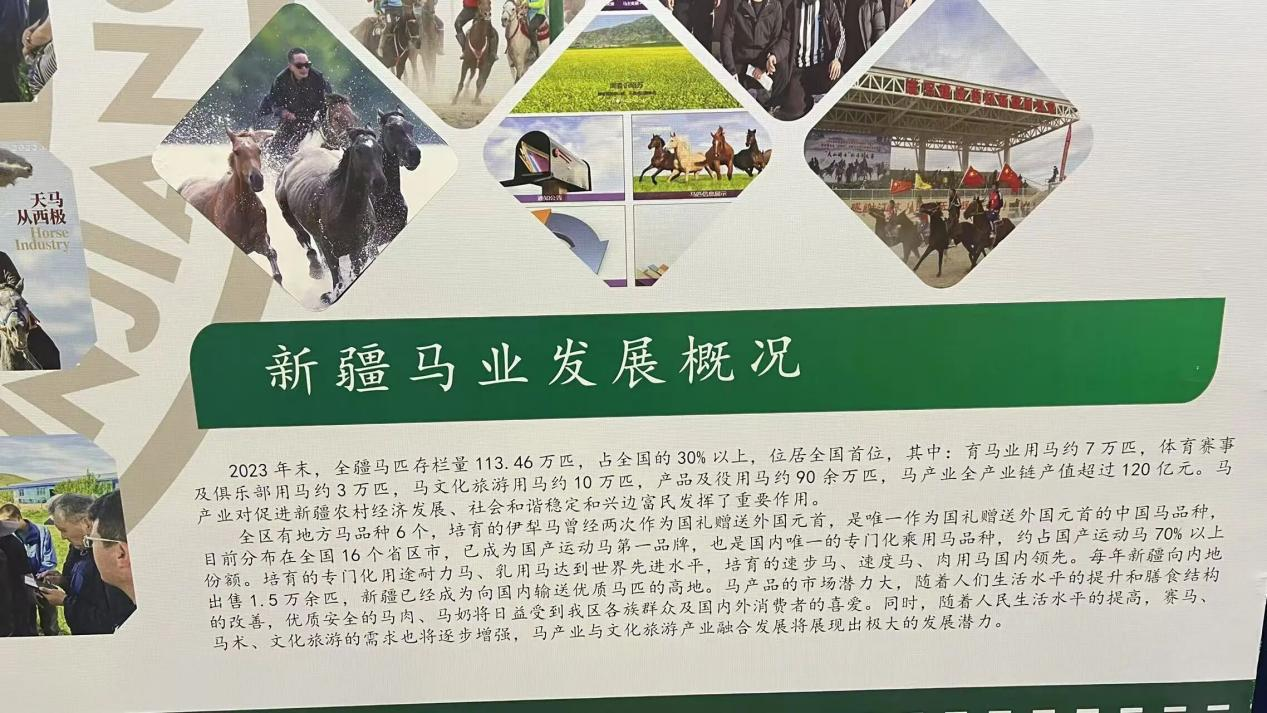 1760489840481698.png 图片 5.png