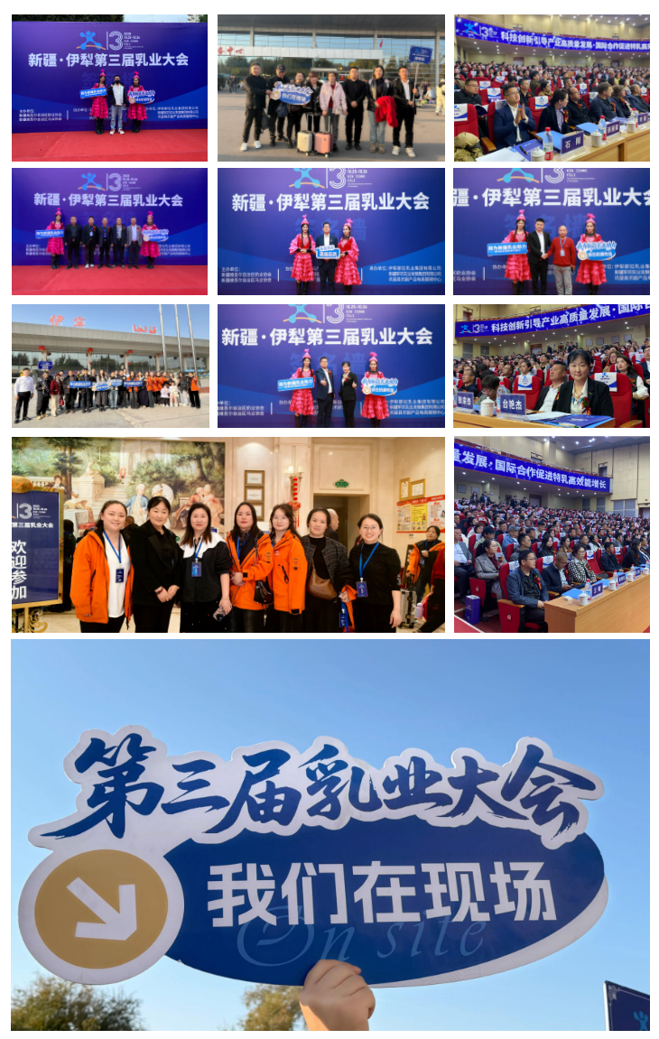 1761527562993258.png 图片 3.png