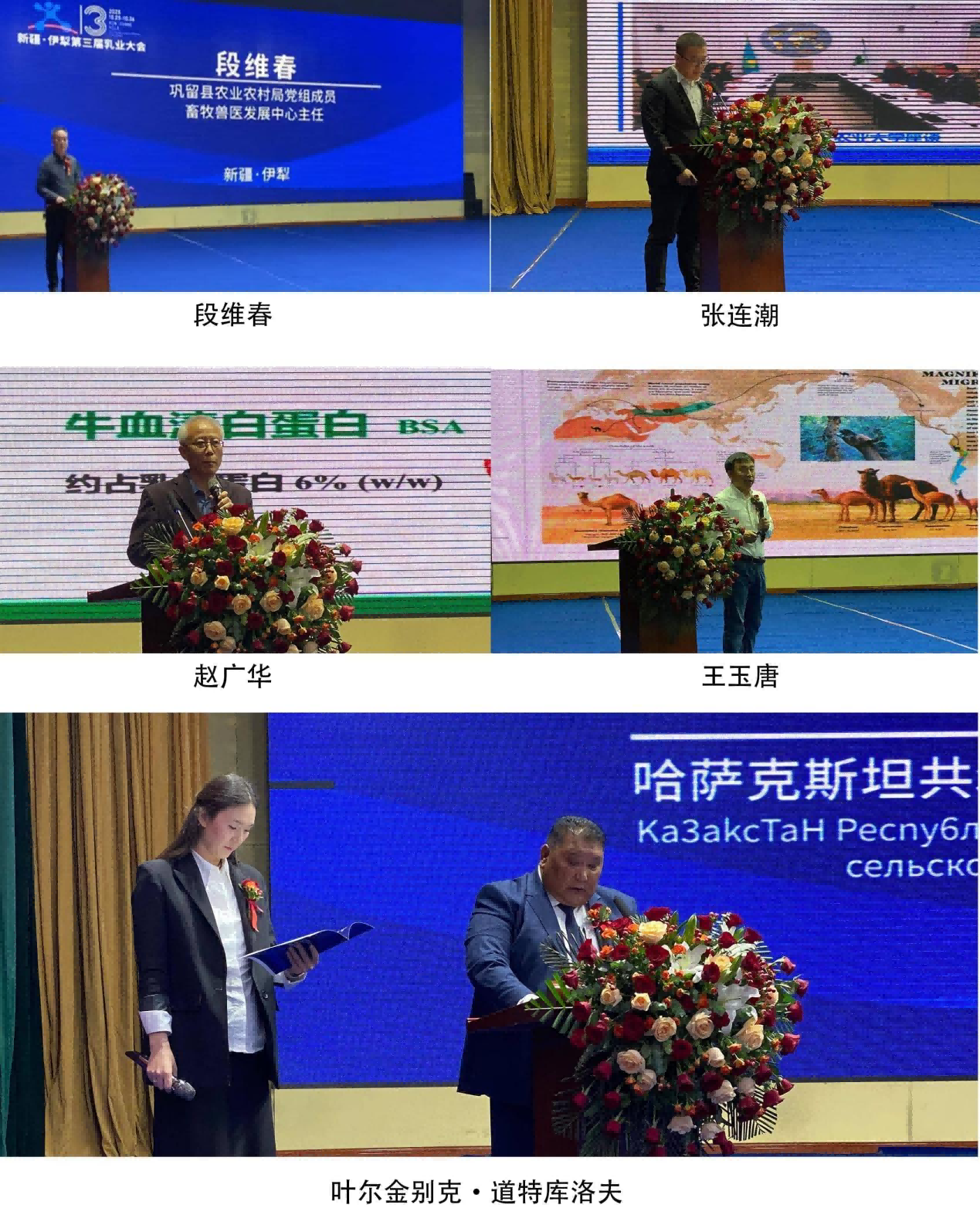 1761527643898208.png 图片 7(1).png