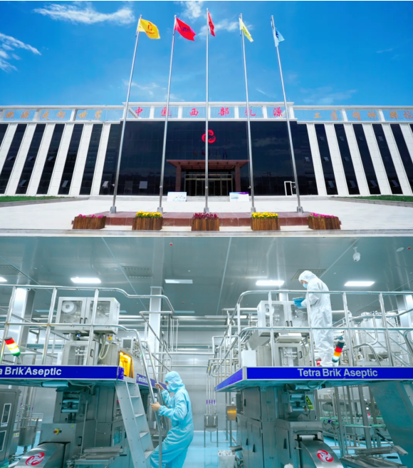 1761527747966076.png 图片 20.png