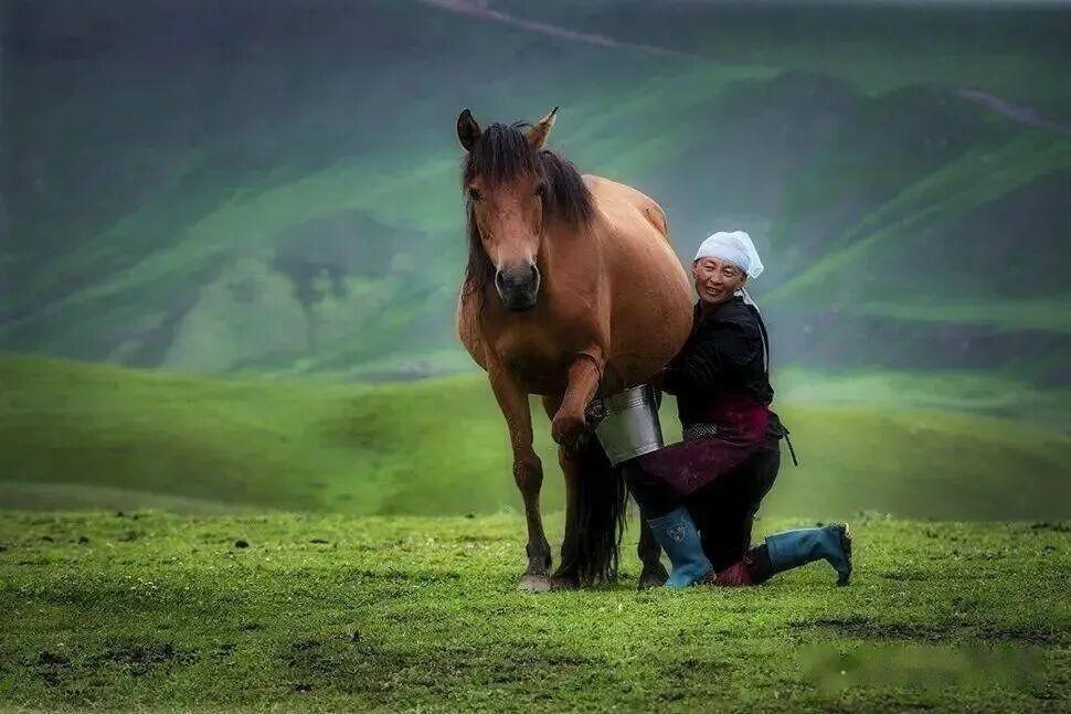 1764041787678243.png 图片 2.png